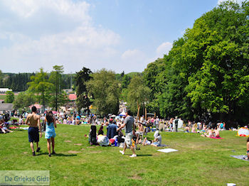 Grieks feest Huizingen 2010 - Griekendag - Foto 042 - Foto van https://www.grieksegids.be/huizingen/fotos2010/huizingen-2010-mid-foto-042.jpg