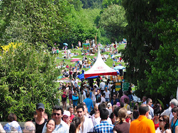 Grieks feest Huizingen 2010 - Griekendag - Foto 087 - Foto van https://www.grieksegids.be/huizingen/fotos2010/huizingen-2010-mid-foto-087.jpg